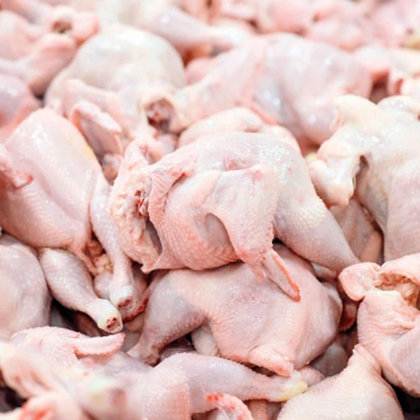 chicken-meat-scaled-1